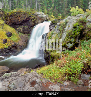 moose falls on crawfish creek in the lewis river basin of yellowstone national park, wyoming Stock Photo
