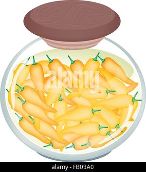 Illustration of Delicious Pickled Orange Paprikas or Sweet Peppers in Vinegar, Sugar, Salt and Condiment in A Glass Jar. Stock Vector