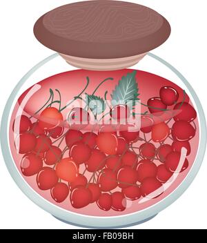 Fruit, An Illustration of Preserved Cherries or Cherries Compote in Syrup of Water and Sugar in Glass Jar Isolated on White Back Stock Vector