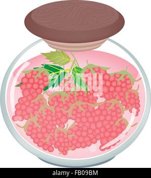 Fruit, An Illustration of Preserved Raspberries, Raspberry Jam or Raspberries Compote in Syrup of Water and Sugar in Glass Jar I Stock Vector