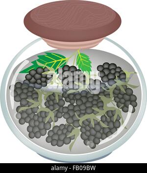 Fruit, An Illustration of Preserved Blackberries, Blackberry Jam or Blackberries Compote in Syrup of Water and Sugar in Glass Ja Stock Vector