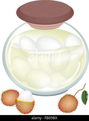 Fruit, An Illustration of Preserved Rambutans or Rambutan Compote in Syrup of Water and Sugar in Glass Jar Isolated on White Bac Stock Vector