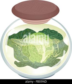 Vegetable, An Illustration of Pickled Savoy Cabbage in Brine of Vinegar and Salt in A Glass Jar Isolated on White Background. Stock Vector