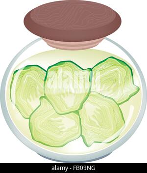 Vegetable, An Illustration of Pickled Half Savoy Cabbage in Brine of Vinegar and Salt in A Glass Jar Isolated on White Backgroun Stock Vector