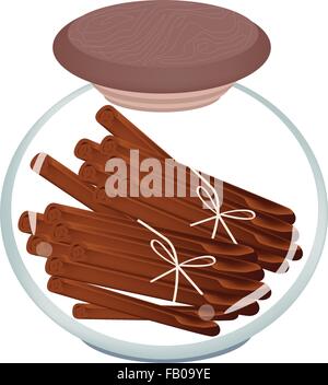 Vegetable and Herb, Illustration of Bundle of Dried Cinnamon Sticks in Glass Jar, Used for Seasoning in Cooking. Stock Vector