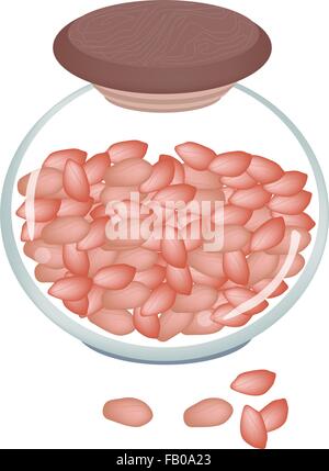 Dried Peanuts with Shells in A Glass Jar, Good Source of Dietary Fiber, Vitamins and Minerals. Stock Vector