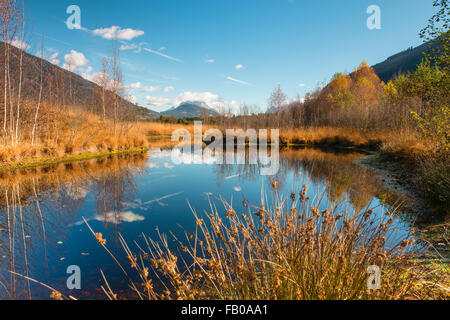 Moorsee, dragonfly pond in autumn, Pürgschachen Moor, Ardning, Styria, Austria Stock Photo