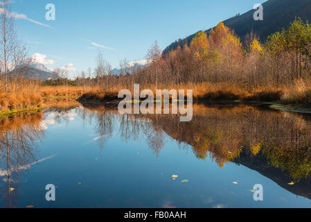 Moorsee, dragonfly pond in autumn, Pürgschachen Moor, Ardning, Styria, Austria Stock Photo