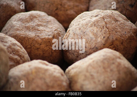 5th January 2015, Chiang Mai, Thailand. Processed and dyed Elephant poo fiber for making paper. Stock Photo