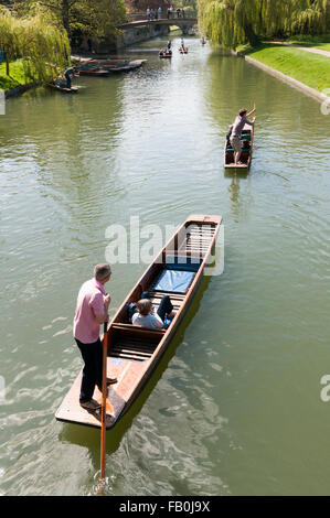 Punting on the river Cam behind the colleges in an area called the Backs, Cambridge, England, UK Stock Photo