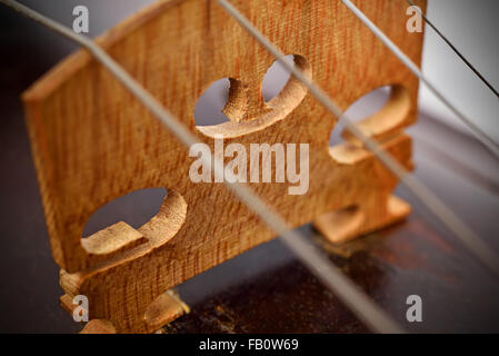 Close up view on violin strings and violin body Stock Photo