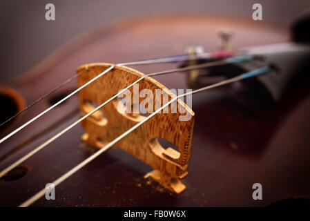 Close up view on violin strings and violin body Stock Photo