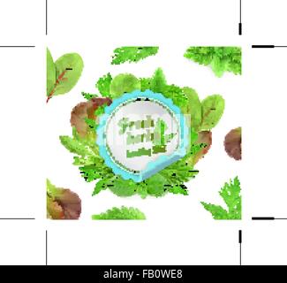 Fresh herbs, vector illustration Stock Vector