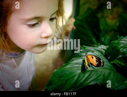 Girl (2-3) looking at butterfly on leaf Stock Photo
