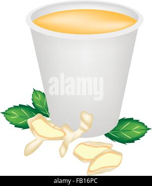Food and Beverage, Ginger Tea with Fresh Ginger and Herb in A Disposable Cup Isolated on A White Background Stock Vector