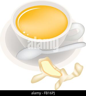Food and Beverage, Ginger Tea with Fresh Ginger and Herb in A Coffee Cup Isolated on A White Background Stock Vector