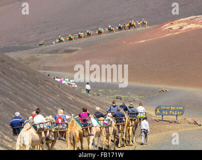 Tourists riding Camels in Timanfaya National Park, Lanzarote, Canary Islands, Spain. Stock Photo