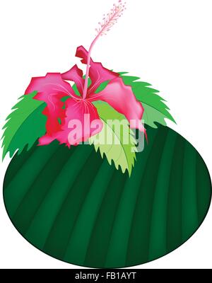 Beautiful Flower, Illustration Group of Fresh Red Hibiscus Flowers or Bunga Raya on Banana Leaf Isolated on A White Background Stock Vector