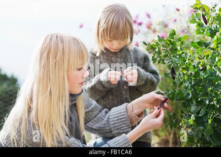 Mid adult woman and son tending bush in organic garden