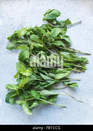 Overhead view of stems of mint leaves Stock Photo
