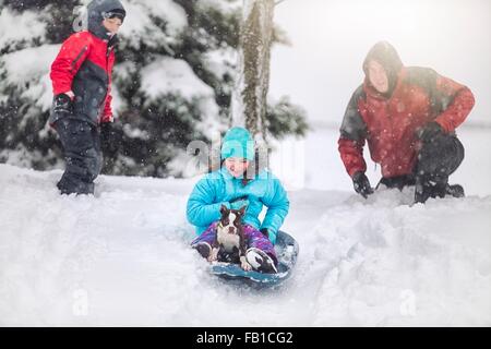 Father, son and daughter sledging with Boston terrier puppy on snow covered hill smiling Stock Photo