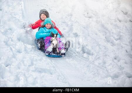 Brother and sister sledging with Boston terrier puppy on snow covered hillside smiling Stock Photo