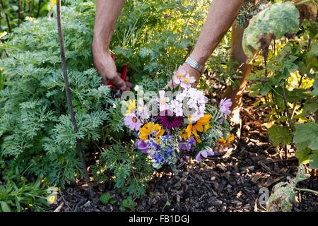 Mature woman gardening, low section Stock Photo