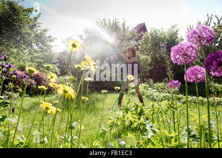 View through flowers of mature woman in garden watering flowers with hosepipe Stock Photo