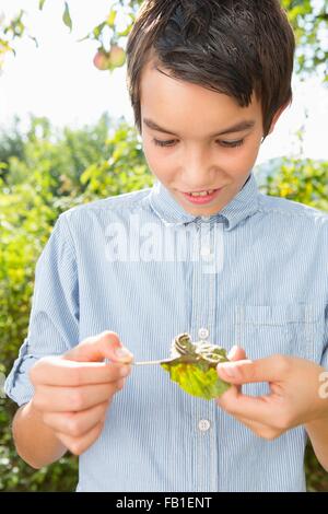 Teenage boy in garden staring at caterpillar on leaf Stock Photo