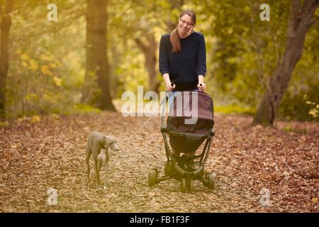 Mid adult mother pushing baby carriage and walking dog in autumn park Stock Photo