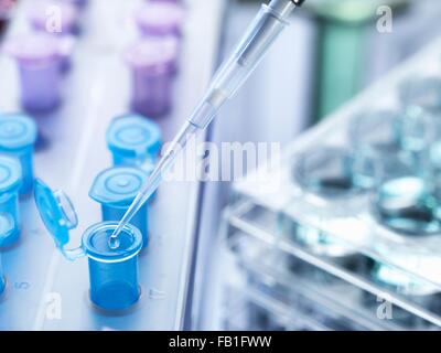 Pipetting drops of liquid into eppendorf tubes, high angle view Stock Photo