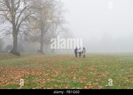 Three young girls walking through field in autumn Stock Photo