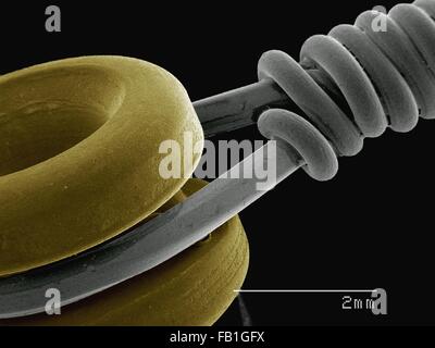 Coloured SEM of guitar string Stock Photo