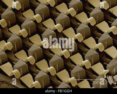 Coloured SEM of computer part Stock Photo