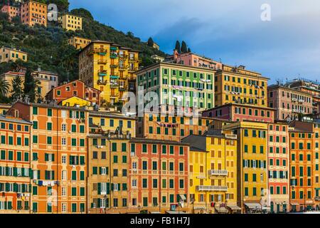 Detail of colorful hotels and apartments on hillside, Camogli, Liguria,  Italy Stock Photo