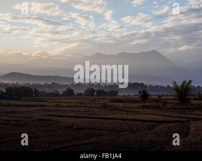 Sunset over the paddy field in Putao town, northern Myanmar. Stock Photo