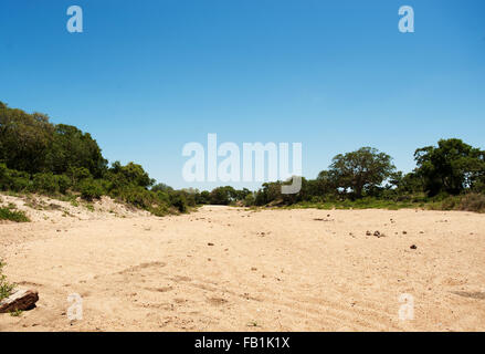 A dry riverbed in Kruger National Park.  The area has been declared a disaster area due to severe drought in South Africa. Stock Photo