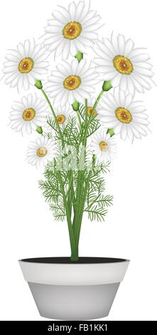 Symbol of Love, Bright and Beautiful Chamomile Flower or White Daisy in Terracotta Flower Pot for Garden Decoration. Stock Vector