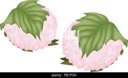 Japanese Traditional Sweets for Spring, Sakuramochi or Rice Cake Filled with Red Bean Paste Wrapped in Preserved Cherry Leaf. Stock Vector