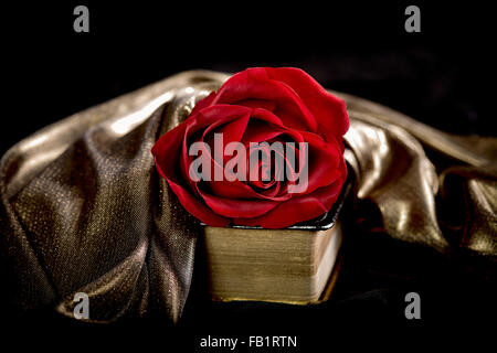 Red Rose laying on a bible, draped in satin and black velvet Stock Photo