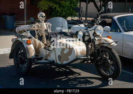 A skeleton rides in a motorcycle sidecar on Halloween in a San Clemente, CA, parking lot. Stock Photo