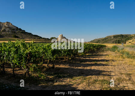 Curiel de Duero castle and vineyard Stock Photo