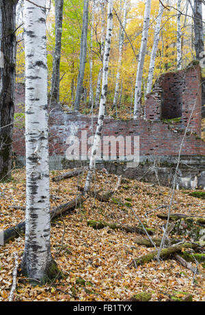 The abandoned village of Livermore in New Hampshire USA. This was a logging village in the late 19th and early 20th centuries. Stock Photo