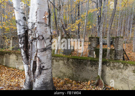 Remnants of the sawmill in the abandoned village of Livermore, New Hampshire during the autumn months. This was a logging village. Stock Photo