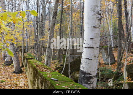 Remnants of the sawmill in the abandoned village of Livermore, New Hampshire during the autumn months. This was a logging village. Stock Photo