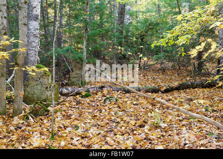 The abandoned village of Livermore in New Hampshire USA. This was a logging village in the late 19th and early 20th centuries. Stock Photo