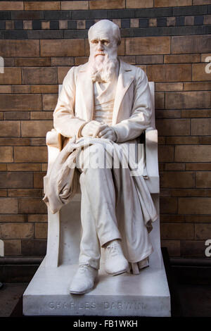 A seated statue of Charles Darwin at the Natural History museum Stock Photo