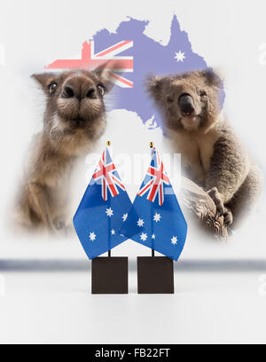 Two Australian desk flags, koala and kangaroo with map of Australia in the background. Australian National symbols isolated on w Stock Photo