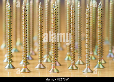 Several plated wood screws on a wooden board Stock Photo