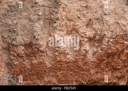 Cut of soil with different layers Stock Photo